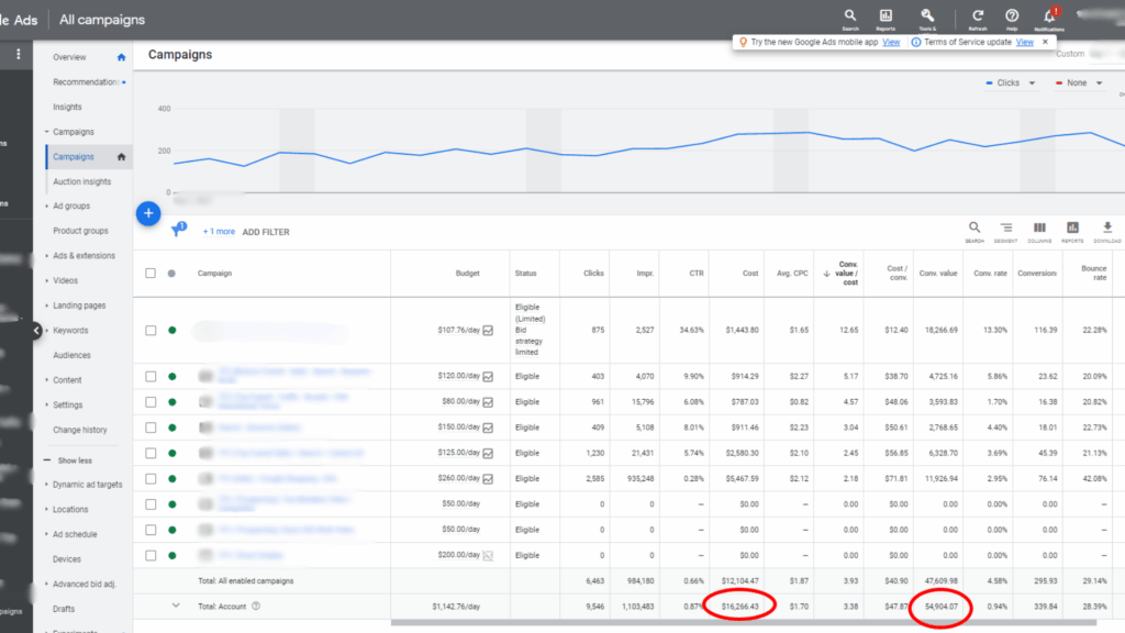 Google Ads Ecom Work Case Study